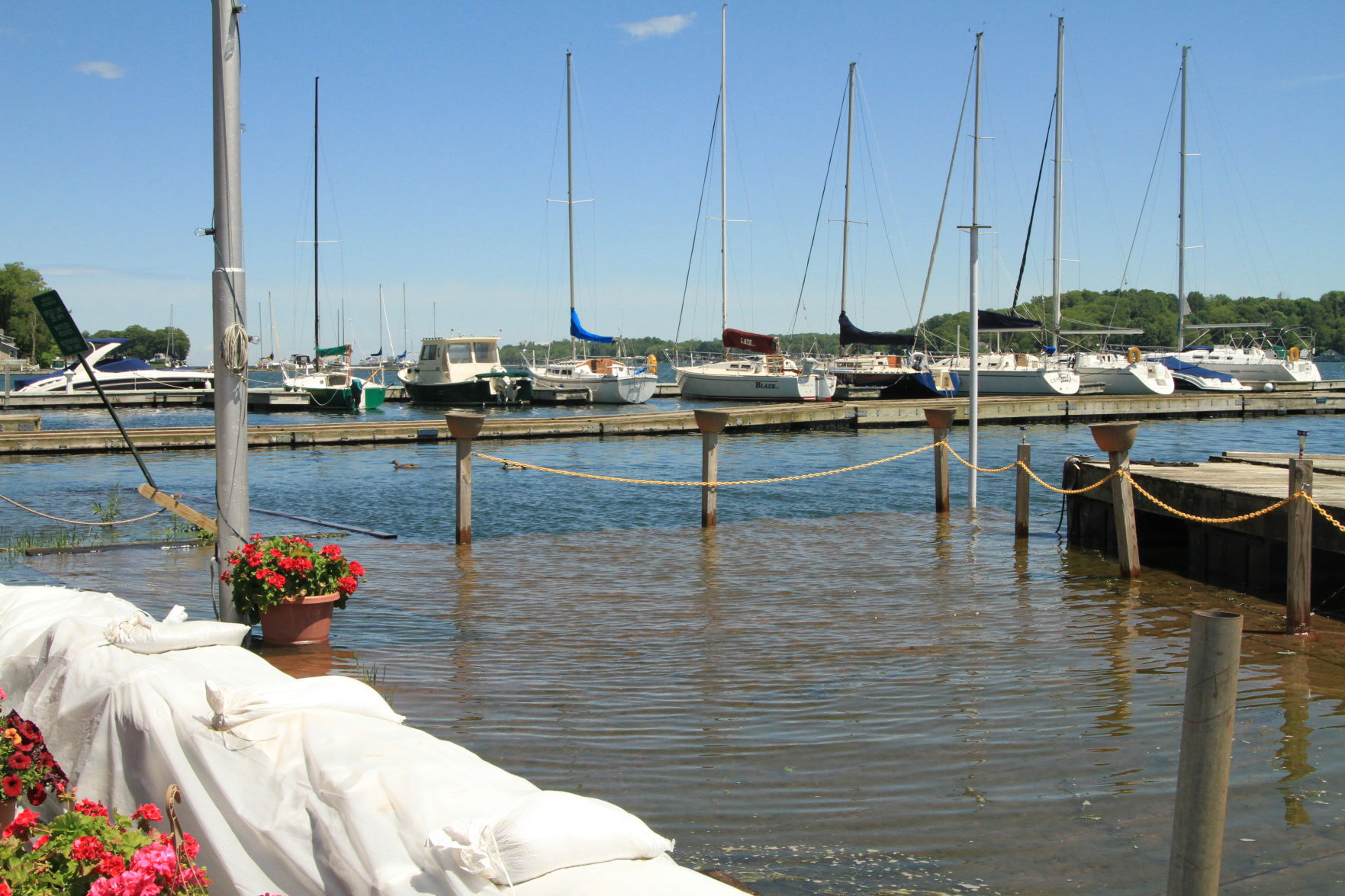 Turtle Cove flooding